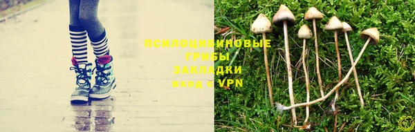 2c-b Арсеньев