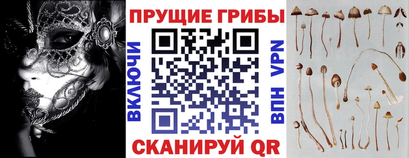 Галлюциногенные грибы прущие грибы  Купить  Гусев 